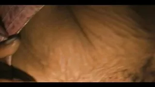 Un homme travaille pour cette jeune et riche blonde, effectuant diverses tâches de réparation dans sa maison, et aujourd'hui il est devenu le héros d'une romance avec elle. Un mec qui est marié ne prend pas la peine de planter son pénis fort dans sa maîtresse anale, surtout quand il porno mature en chaleur n'est pas contre cette affaire. Un mamelon mignon reçoit un cunnilingus et le remercie avec une pipe, puis procède à une baise dans le cul en plein air dans diverses poses jusqu'à ce qu'il reçoive une éjaculation faciale au visage.